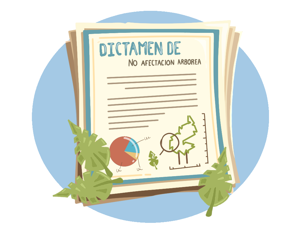 Trámite de dictamen de no afectación arbórea